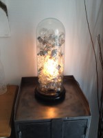 /album/galerie-de-photos-page-daccueil1/img-4793-jpg1/